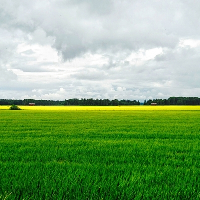 Agricultura está se tornando a nova aposta dos bilionários