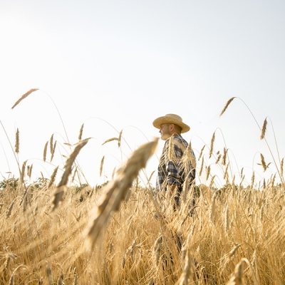 Poder de compra de fertilizantes pelo agricultor melhora em junho