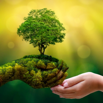Contribuições do setor químico brasileiro aos objetivos de desenvolvimento sustentável